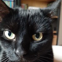 Ewa (@ewa93880783) 's Twitter Profile