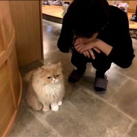 かんの (@abcann0) 's Twitter Profile