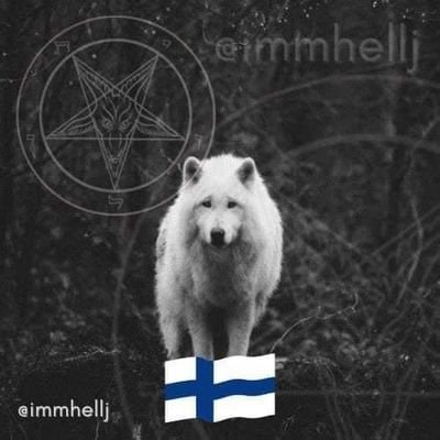 Xavier72274's profile picture. 