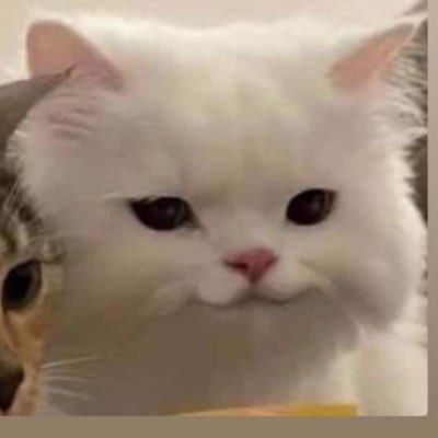 SuaSuaCaiBeep's profile picture. 