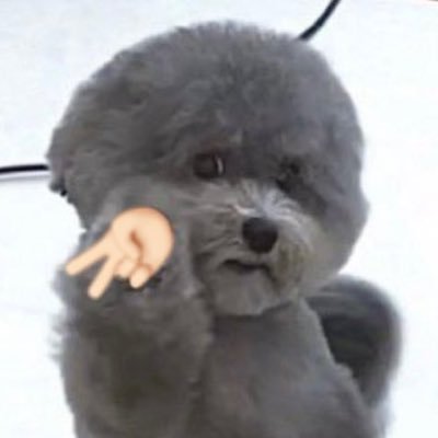 mee backuoさんのプロフィール画像