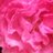 shiomi_fairy's profile image