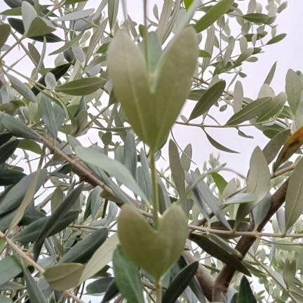 tQh7YoVEDNPIcT5's profile picture. 