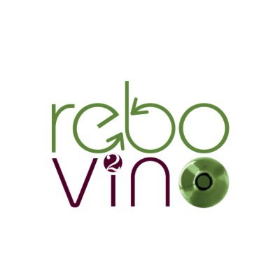 rebo2vino Profile Picture