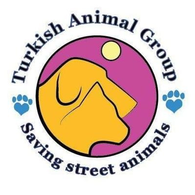 We are love animals and therefore decided to create a group that will help them. We feed, treat and provide sweet homes to them