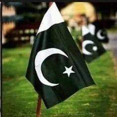 mohdmuzammil27's profile picture. Digital Marketer, Web Developer, Cricket Freak, Imran Khan for Pakistan