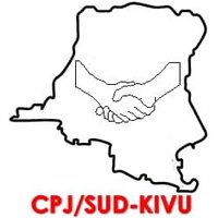 Conseil Provincial de la jeunesse du Sud-Kivu(@jeunessesudkivu) 's Twitter Profile Photo