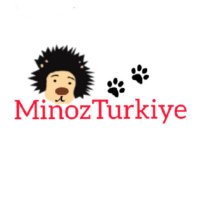 Minoz Tรผrkiye ๐น๐ท (@minozturkiye) 's Twitter Profile