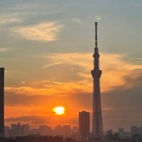 よっ (@saku_39393939_p) 's Twitter Profile Photo よっ (@saku_39393939_p) 's Twitter Profile Photo