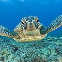 Heather Bundy - @HeatherLyn18 - Twitter