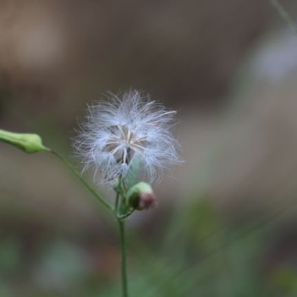 fahad_sadath's profile picture. 