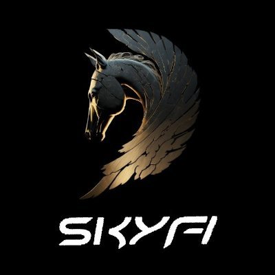 SKYFI 🔺️