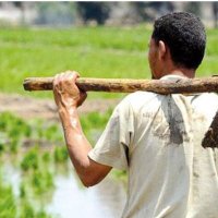 محمد (@mmd01566095) Twitter profile photo