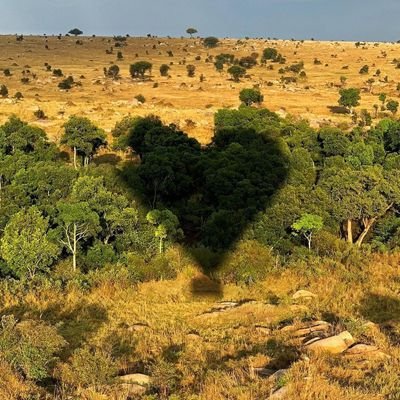 theRated11's profile picture. here for good...