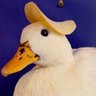 Xqu_xy's profile picture. #Bitcoin believer