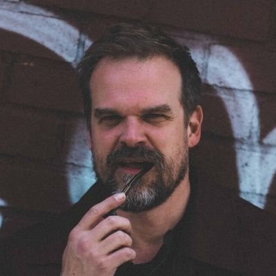 harbourbrasil's profile picture. {FAN ACCOUNT} | Sua mais nova fonte de informações sobre o ator David Harbour no Brasil.| Brazilian fansite dedicated to David Harbour 📷: @dhbrmidia