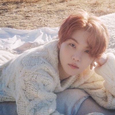 29 • INTP-T • Aquarius☀️ Taurus🌙 Leo⬆️
• OT7 • BTS saved me • WINGS 2017-ARMY • MOA • LUNÉ • most twts 🔞