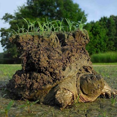 theoneandersonG's profile picture. trans-homophobic in nature