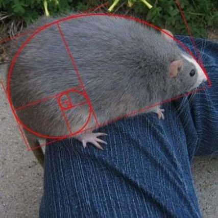 vlavlabum's profile picture. 