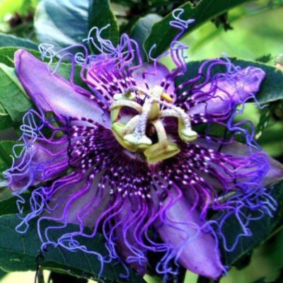 DanteLaaw's profile picture. Con la forza del Cuore❤️ supero i limiti...