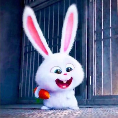 cocosan25's profile picture. 都内在住/30歳/エンジニアの🐣←/美容/お金の勉強/投資/Java/SES2年目