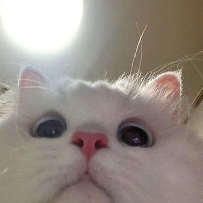 Kyokaiさんのプロフィール画像