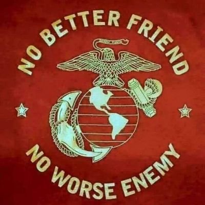 GruntKiller0300's profile picture. OIF-OEF 3/8 Kilo Co. 2nd Mar Div, Pro 2A  Constitutional Conservative, Anti-Vax, Death to Tyrants, FORTUNA FAVET FORTIBUS, 💥 Embrace the Suck 💥 GRUNT LIFE