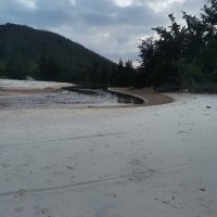 Tran Biet Kick54 ❤️ Memecoin (@kickbiet) 's Twitter Profile