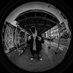 CeaseMerlino (@cease_flemmi) Twitter profile photo CeaseMerlino (@cease_flemmi) Twitter profile photo