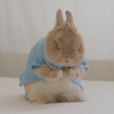 gviz4n's profile picture. 謎解き垢 / 平日は18時まで仕事 / エンジョイ勢 / 関東