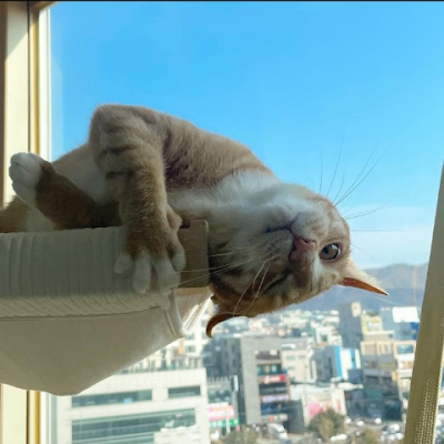 calsteren_jean's profile picture. 