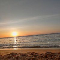 Obi (@obitoppinn) 's Twitter Profile