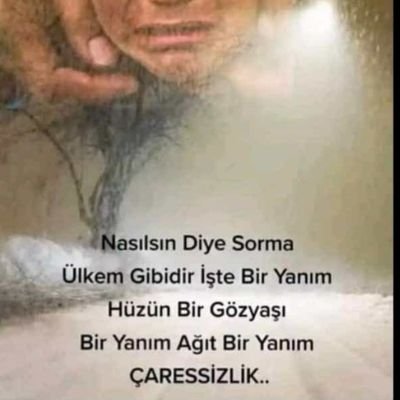 serdumen42's profile picture. 