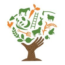 Stay on sustainable farms and smallholdings. Gain valuable practical skills through immersive, hands on experiences.