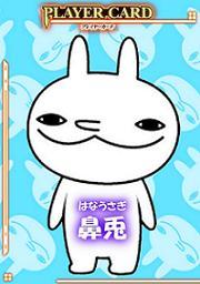 usagi_hana Profile Picture
