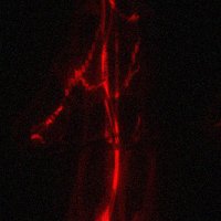Abilyties. (@0abilyties) 's Twitter Profile