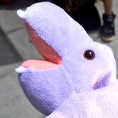 白樺。固ツイ参照さんのプロフィール画像