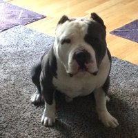 $Betonurself$ (@jerryb650) 's Twitter Profile