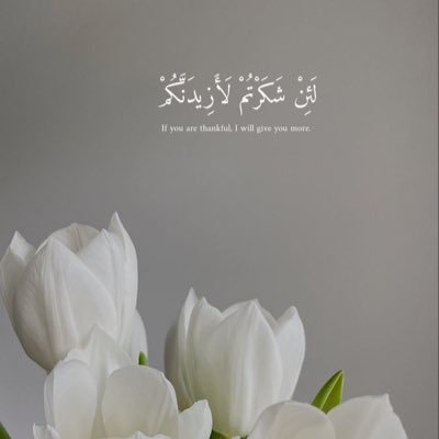 ﴿تَوفَّني مُسلِمًا وألحِقني بِالصّالحينَ﴾ اللهم إجعلني عميقة الوقع والأثر 💛🌾