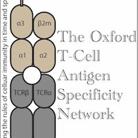OxASN: The Oxford Antigen Specificity Network(@Ox_T_Cell_ASN) 's Twitter Profile Photo