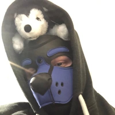 pup to my wonderful Sir @wistfulbear1 Master of @PythonsSlave and Alpha of pack Python @pupthunder28 and BF - @pupmalphas 18+ only