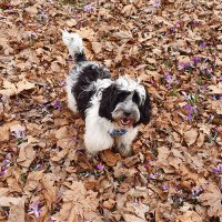 Sarah Sharman (@sarahsh92428150) 's Twitter Profile Photo