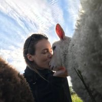 Sofia Wilhelmsson (@swilhelmssn) 's Twitter Profile