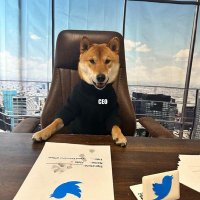 elon dog (@jaatsatishsingh) 's Twitter Profile