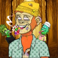 sbonthemnfts (@ashl_eysfox) 's Twitter Profile
