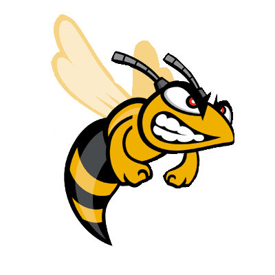 NSISD's profile picture. New Summerfield ISD is a 2A school district located in East Texas and is the proud home of the Hornets and Lady Hornets.