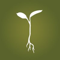 Raw Garden(@_rawgarden) 's Twitter Profile Photo