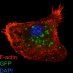 Iannis (@adamopouloslab) Twitter profile photo Iannis (@adamopouloslab) Twitter profile photo