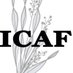 ICAF SPAIN (@icafspain) Twitter profile photo ICAF SPAIN (@icafspain) Twitter profile photo