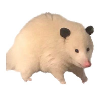 도테さんのプロフィール画像